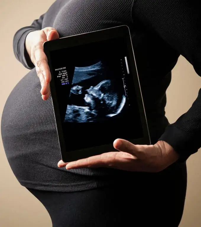 Fertility & Pregnancy