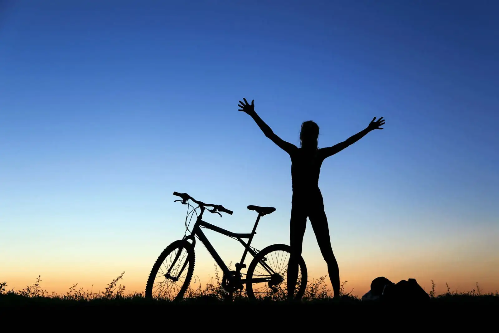 Lifestyle Modification Programs